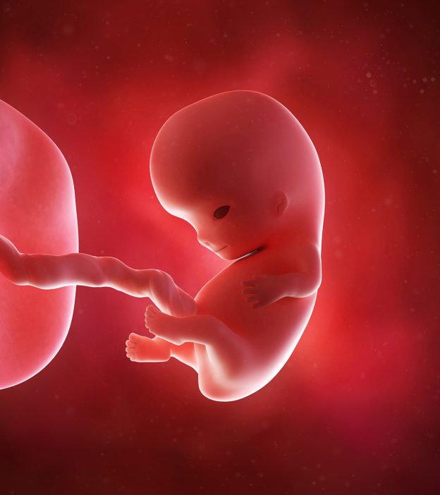 9 Weeks Pregnant: Signs, Baby Development Milestones, & Tips