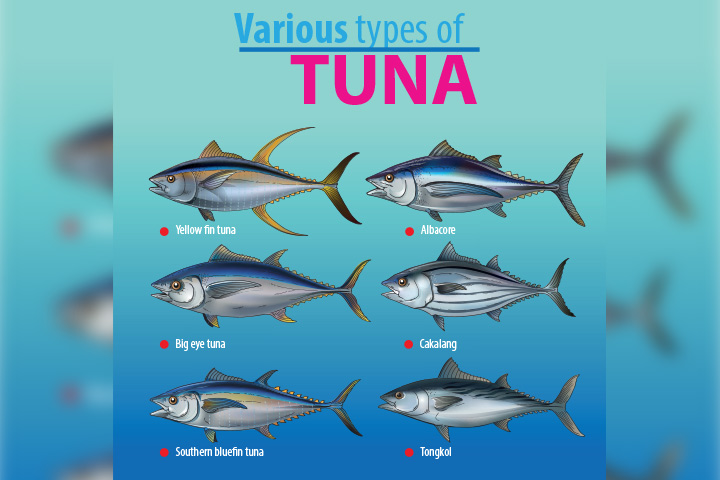 Can You Eat All Types Of Tuna