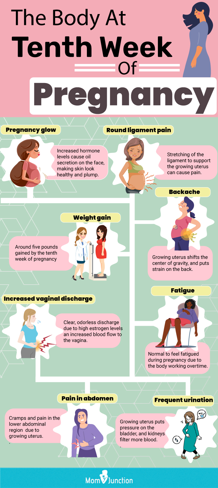 10th week of pregnancy (infographic)