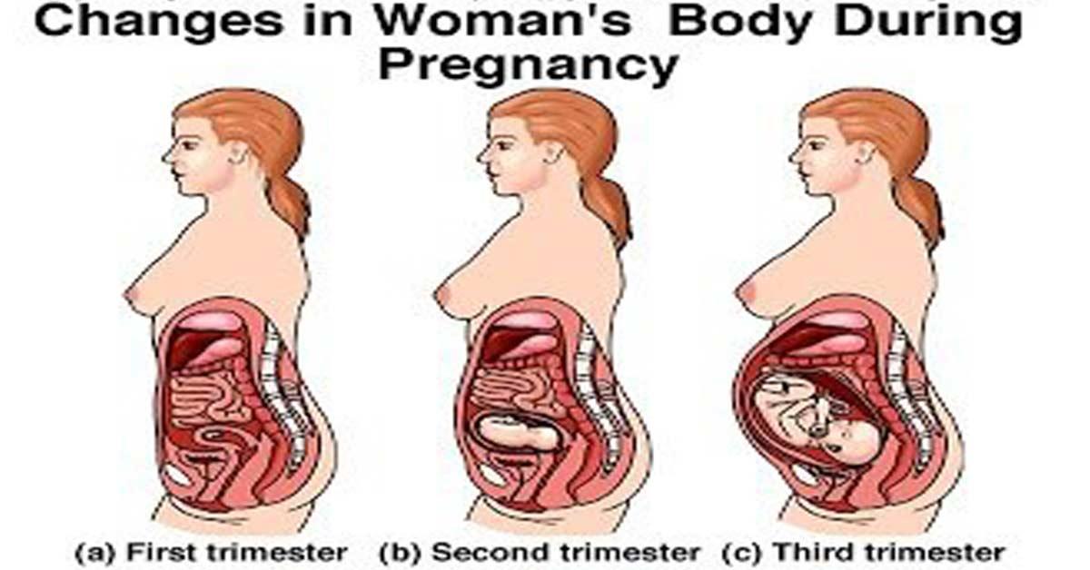 10-typical-body-changes-during-pregnancy