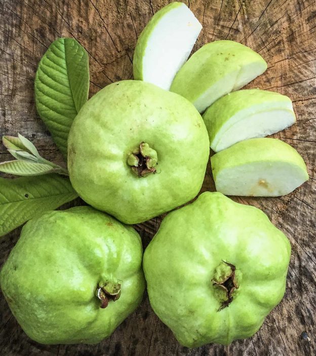 14 Amazing Health Benefits Of Eating Guava During Pregnancy