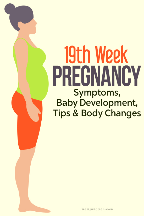 19th Week Pregnancy: Symptoms, Baby Development, Tips And ...