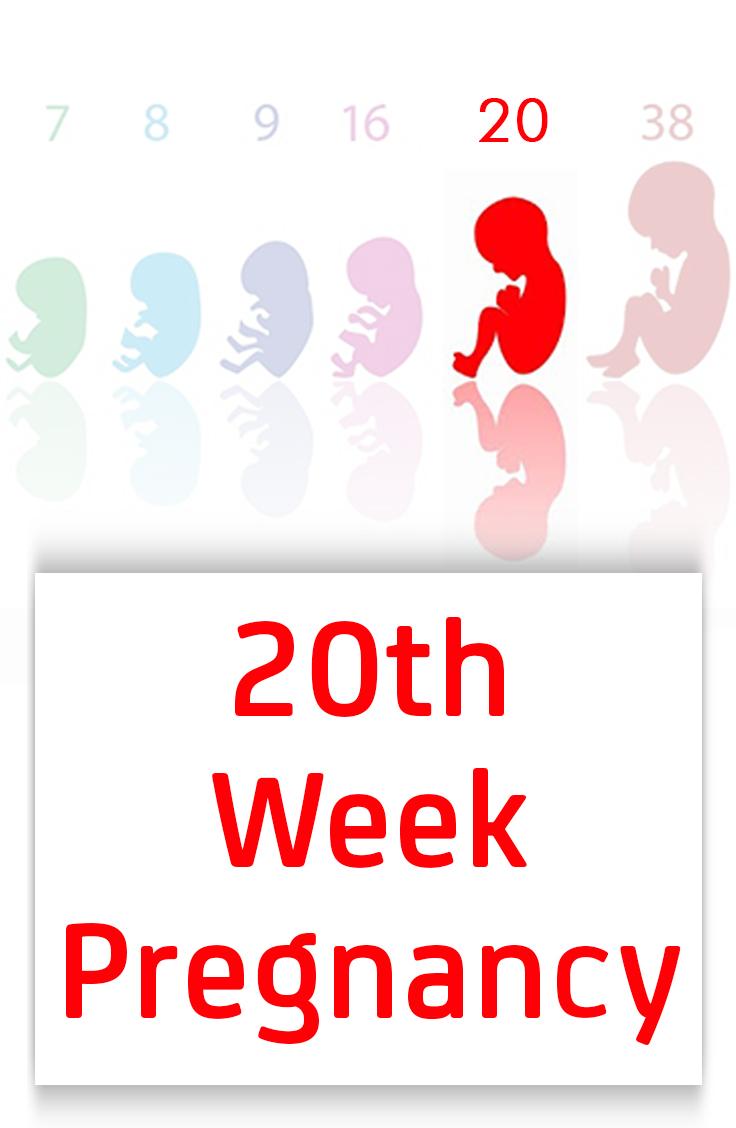 20 weeks pregnant Symptoms, Baby Development, Tips And Body Changes