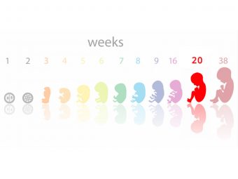 20 Weeks Pregnancy: Symptoms, Tips And Baby Development