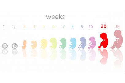 20th Week Pregnancy: Symptoms, Baby Development And Bodily Changes