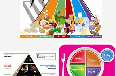 食品金字塔对儿童和青少年的重要性是什么？