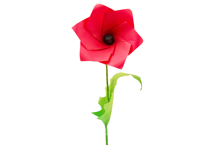 Paper poppies making with images paper flower crafts for kids
