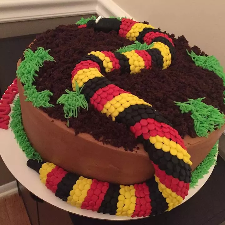Reptiles Theme 1st Birthday Cake Ideas