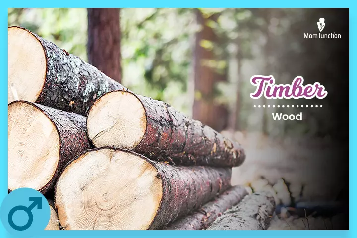 Timber is a name that means wood