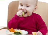 Top 30 Healthy Foods For Your Baby