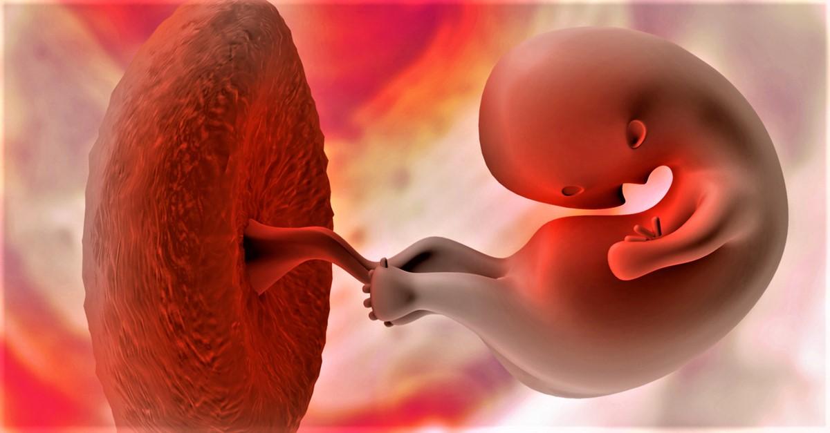 18 Things You Should Do While Preparing For Pregnancy