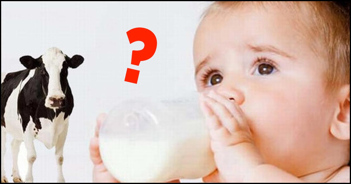 What Happens If You Give A Baby Cows Milk - Baby Viewer