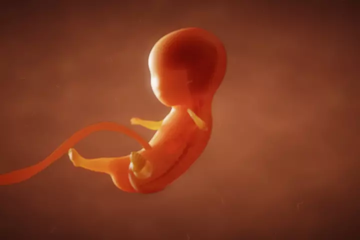 Fetal hiccups are stronger after nine weeks