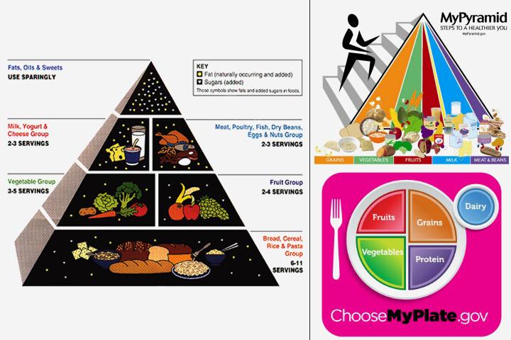 Usda Food Pyramid Chart