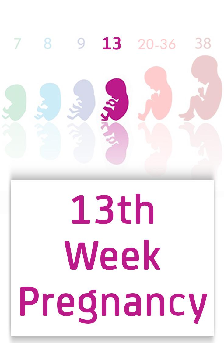 13th Week Pregnancy: Symptoms, Baby Development And Body Changes