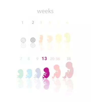 13 Weeks Pregnant: Symptoms And Baby Development