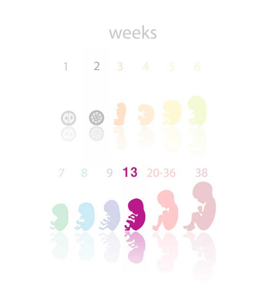 Weeks 13 symptoms pregnant at 13 Weeks