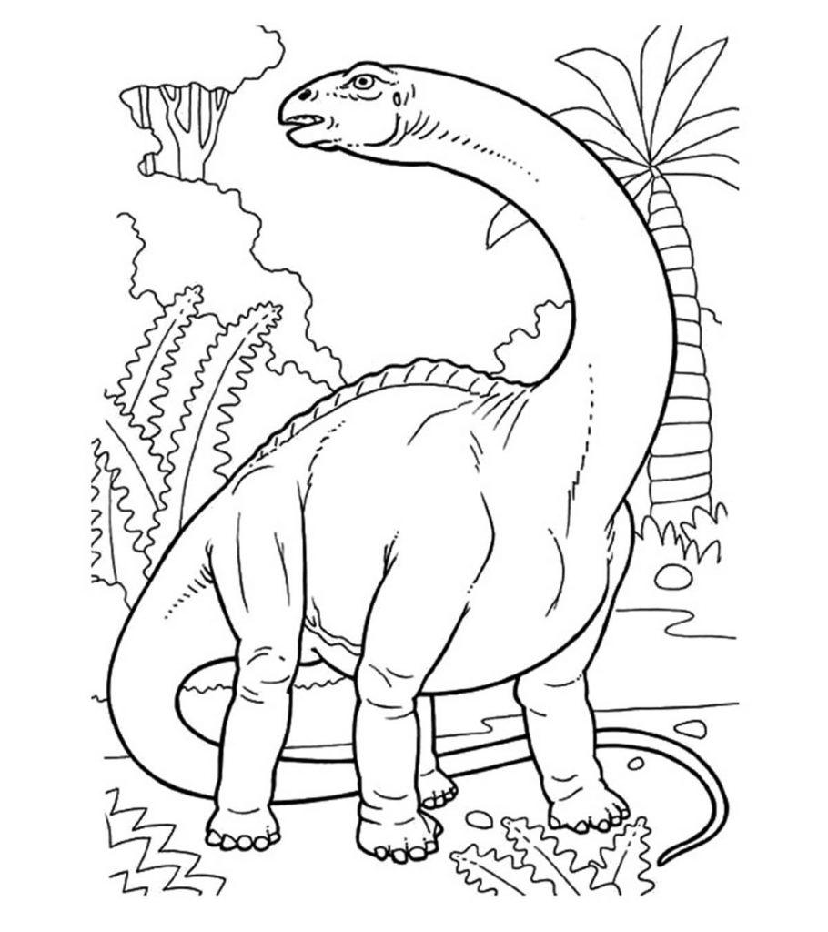 printable dinosaur colouring in