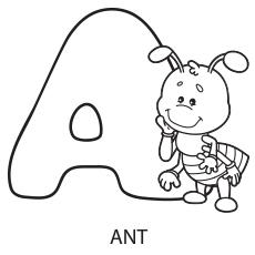 8400 Top Coloring Pages Of Alphabet Download Free Images