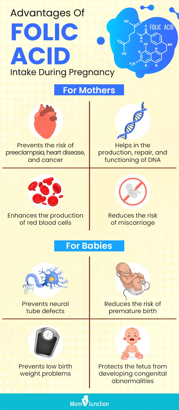advantages of folic acid intake during pregnancy (infographic)