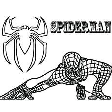 19+ Spiderman Coloring Free for Adults - Free Printables – Faber-Castell USA