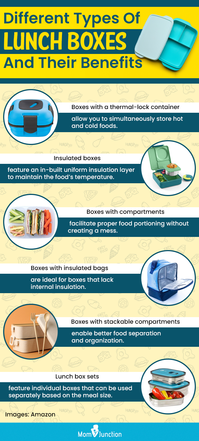  Different Types Of Lunch Boxes And Their Benefits (infographic)