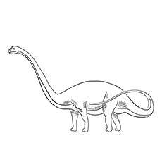 Drachiosaurus