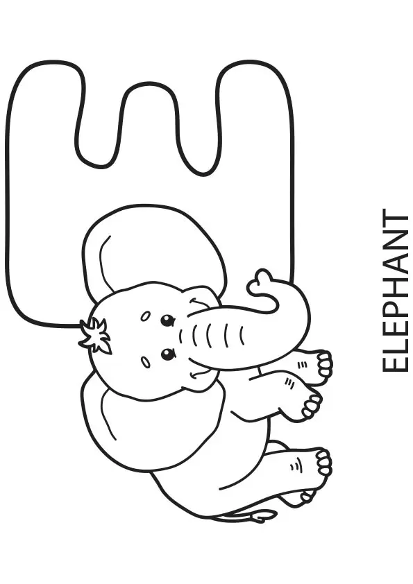 E