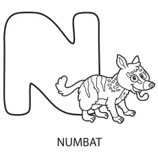 Alphabet N for Numbat Coloring Page
