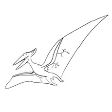 Pteranodon Dinosaur coloring pages