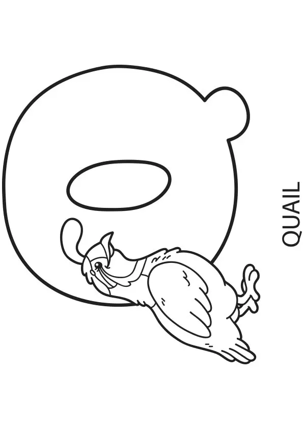 Q
