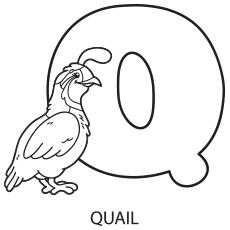 Alphabet Q Coloring pages