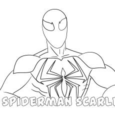 Spiderman-Scarlet