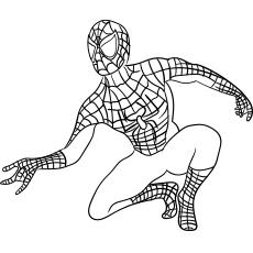 550 Collections Coloring Pages Spiderman Printable  Latest HD