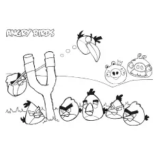 Angry Birds And The Slingshot Coloring Pages_image