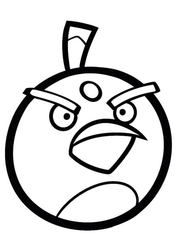 The-Bird-Bomb
