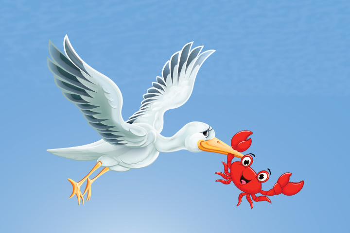 The Crane And The Crab Panchatantra story for kids