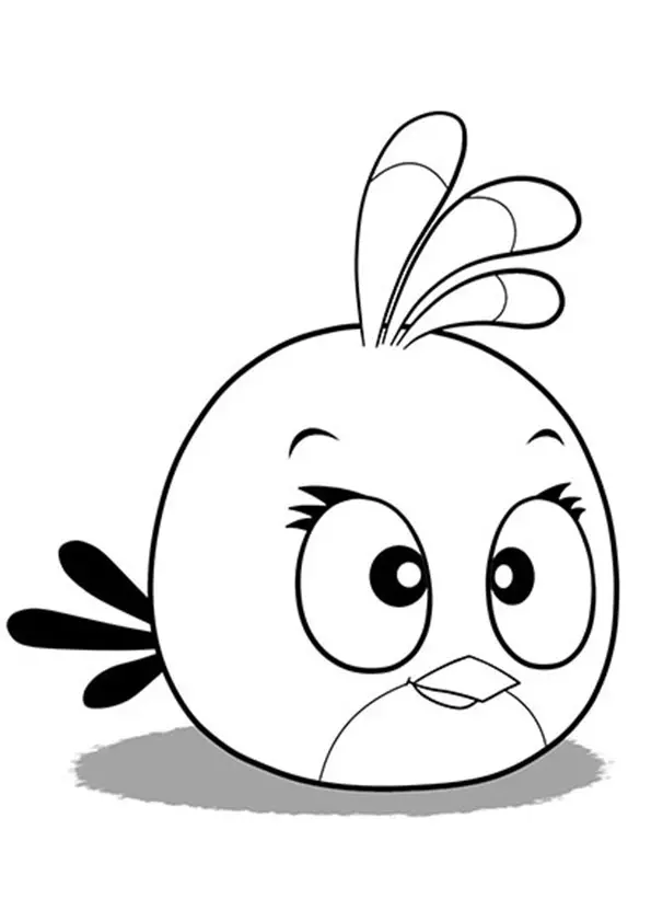 The-Cute-Looking-Bird