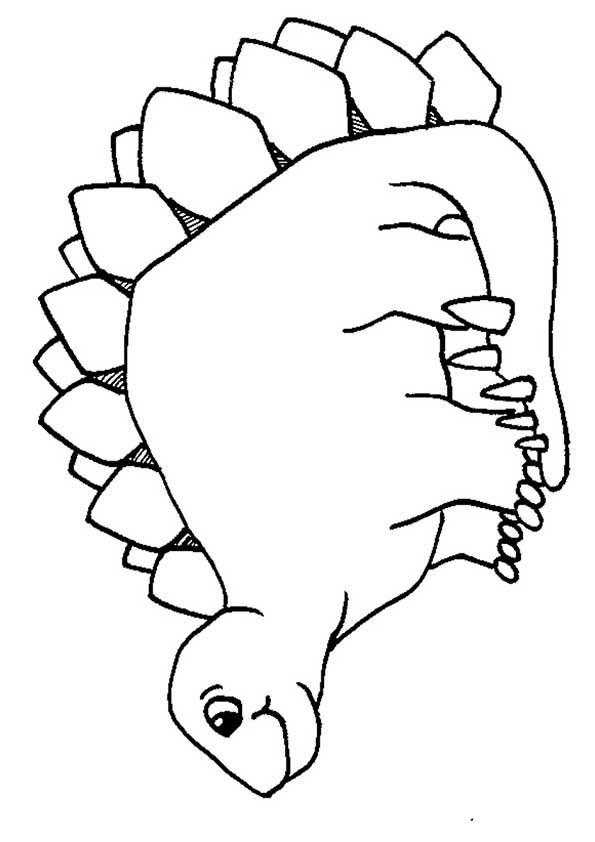 The-Dinosaur-With-Spikes