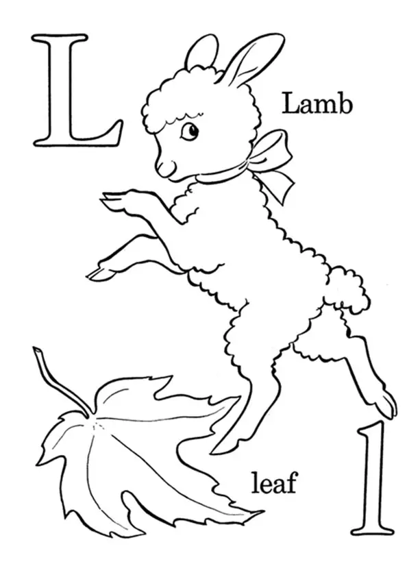 The-Know-More-About-L