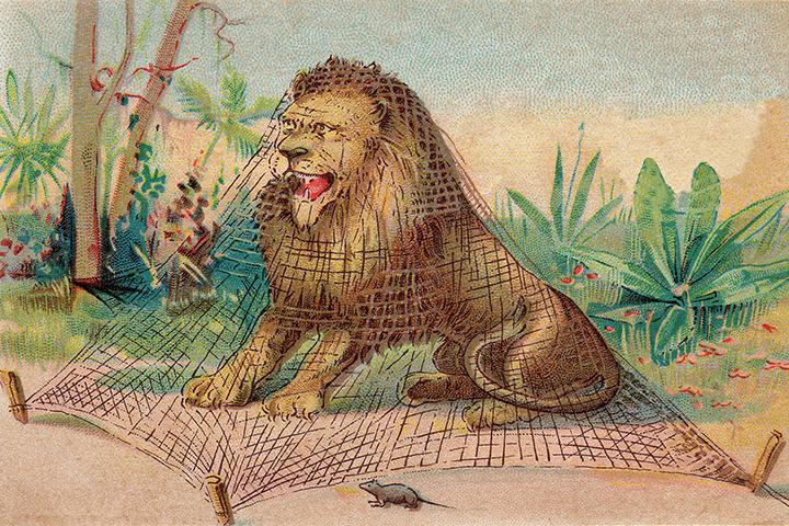 The Lion And The Mouse Animal Story For Kids