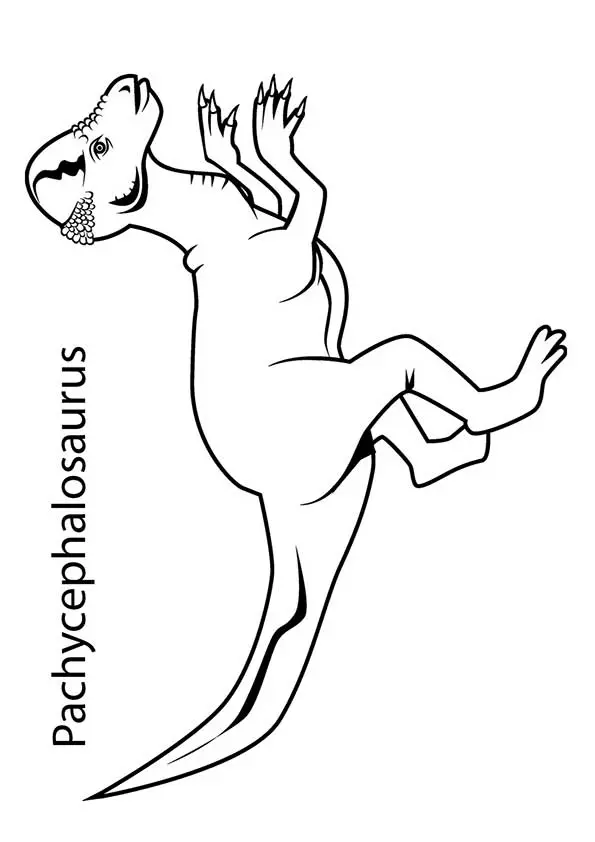 The-Pachycephalosaurus