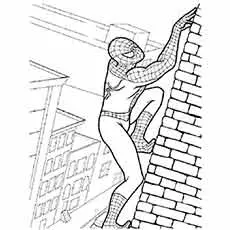 Spiderman Climbing on Wall coloring page