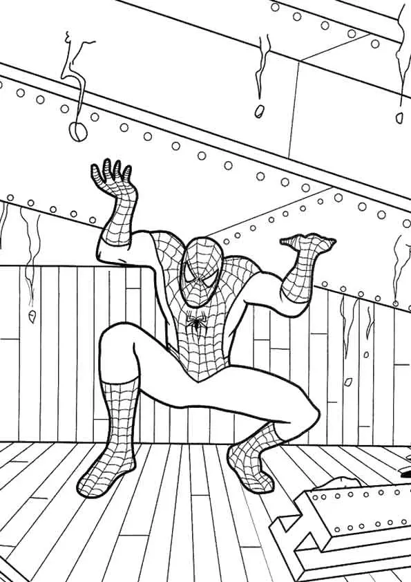 The-Spiderman-Splitting