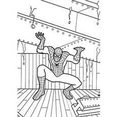 The-Spiderman-Splitting