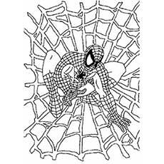 Download 50 Wonderful Spiderman Coloring Pages Your Toddler Will Love