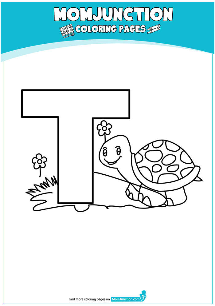 The-T-for-Tortoise-16