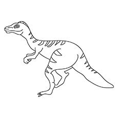 Velociraptor-17