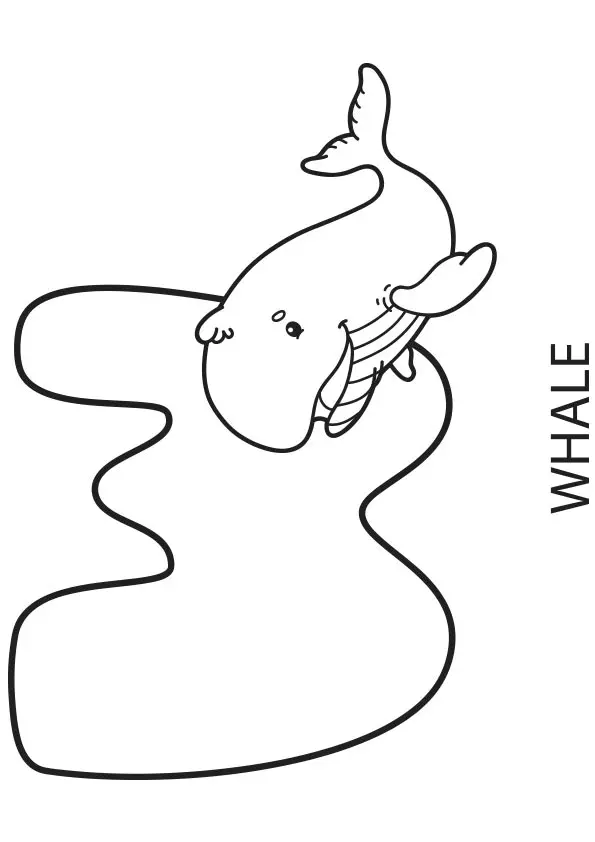 W