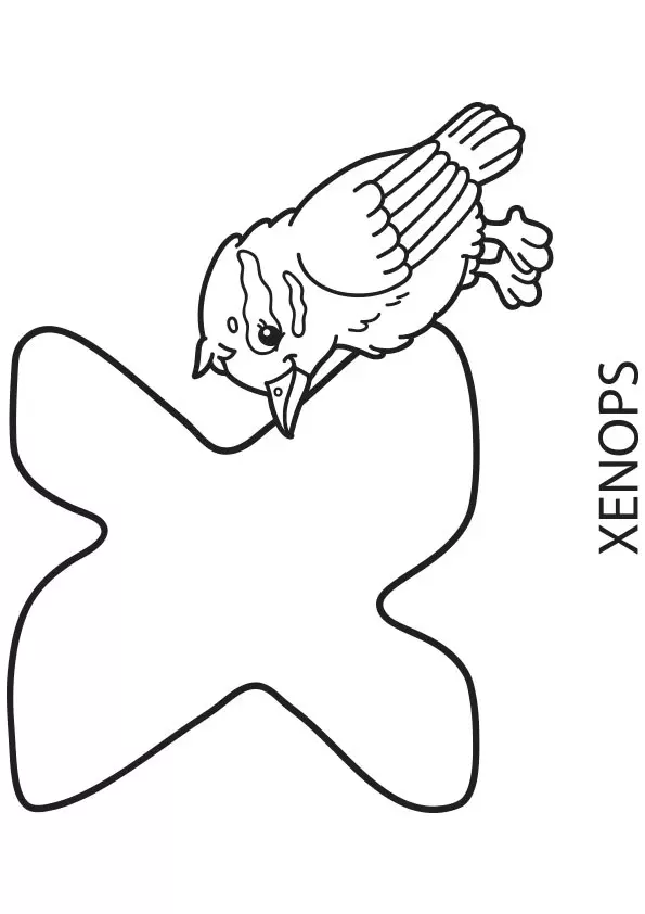X